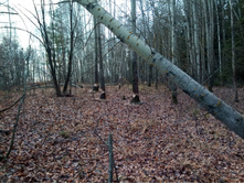 20211023 ��̣��� ��� 115625.jpg