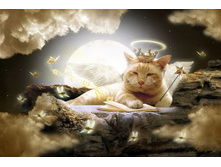 ��� �ޣ���