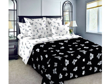 ��������� �������� «��������� ������� 1», �������.jpg