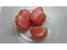 ������� ������ �� ���������