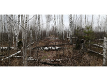 IMG 20211030 105458.jpg