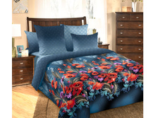 ��������� �������� «��������� 1», �������.jpg