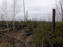 IMG 20211030 114514.jpg