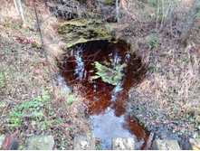 20211023 ��̣��� ��� 105950.jpg