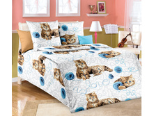 ��������� �������� «���-�����», ����.jpg