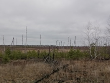 IMG 20211030 120129.jpg