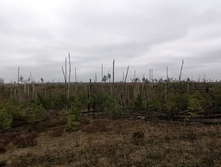 IMG 20211030 120342.jpg