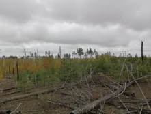 IMG 20211002 104705.jpg