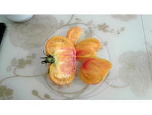 ���� ���