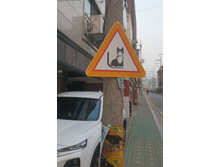 �������� ���� "���"