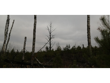 IMG 20211030 121304.jpg