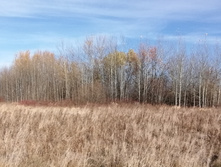 IMG 20211017 101211.jpg