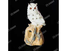 ����� (������� ������).jpg