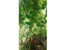 ������ ��������� 2