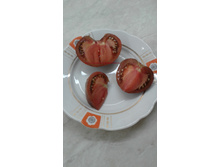 Marshas starfighter beefsteak