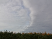 IMG 20211016 125716.jpg