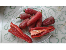 ��������� ���