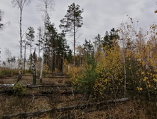 IMG 20211016 123504.jpg