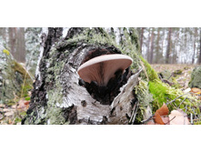 IMG 20211030 102124.jpg