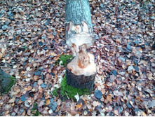 20211023 ��̣��� ��� 115637.jpg