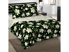 ������� ������ 220 ��