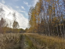 IMG 20211009 150721.jpg