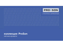 PROSON ����������� ���� �������� 01.jpg