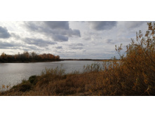 IMG 20211017 142038.jpg