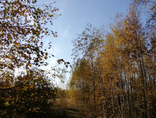 IMG 20211009 152607.jpg