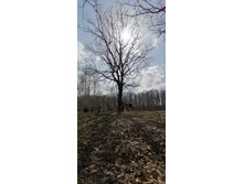 IMG 20210424 103702.jpg