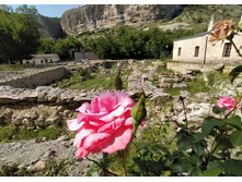 IMG 20210719 155335.jpg