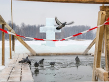 8ac9ba4a760c0f7c0fae91c00bfaf36409323ed0 727.jpg