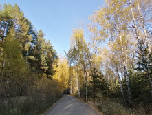 IMG 20211009 154712.jpg