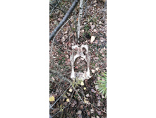 IMG 20211030 125111.jpg