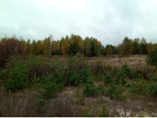 20211002 �����BikeTrip 102041.jpg