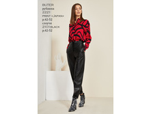 2221print japan(42-52)+������ 2101 (42-52) .jpg