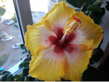 ������ No1