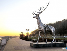 C7f46131779dadea64349f7a3f827acc6dbfe2cc 727.jpg