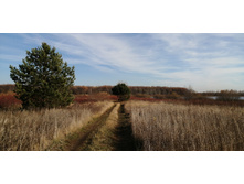 IMG 20211017 102938.jpg