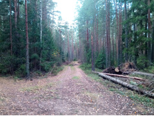 20211023 ��̣��� ��� 111947.jpg