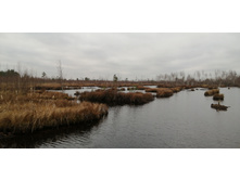 IMG 20211030 103820.jpg