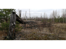 IMG 20211030 113109.jpg