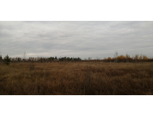 IMG 20211016 124941.jpg