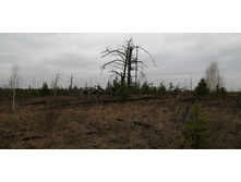 IMG 20211030 121845.jpg