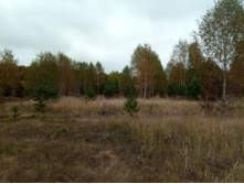 20211002 �����BikeTrip 111717.jpg