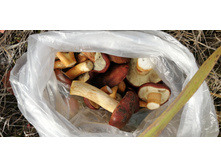 IMG 20211016 130530.jpg