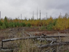 IMG 20211002 103254.jpg