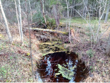 20211023 ��̣��� ��� 105955.jpg