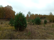 20211002 �����BikeTrip 111723.jpg