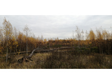 IMG 20211016 103306.jpg